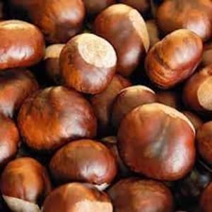 May include: A close-up shot of a pile of chestnuts. The chestnuts are a rich brown color with a lighter tan patch on one side. The smooth, shiny shells of the chestnuts are tightly packed together, creating a textured surface.