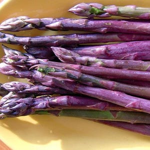 May include: A close-up of a pile of fresh purple asparagus spears. The asparagus has a vibrant purple hue with green tips, and is arranged on a yellow plate. The spears are thick and appear to be freshly harvested.