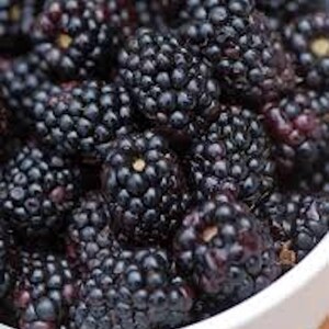 May include: A white bowl filled with ripe blackberries. The blackberries are clustered together, showing their dark purple color and small seeds.
