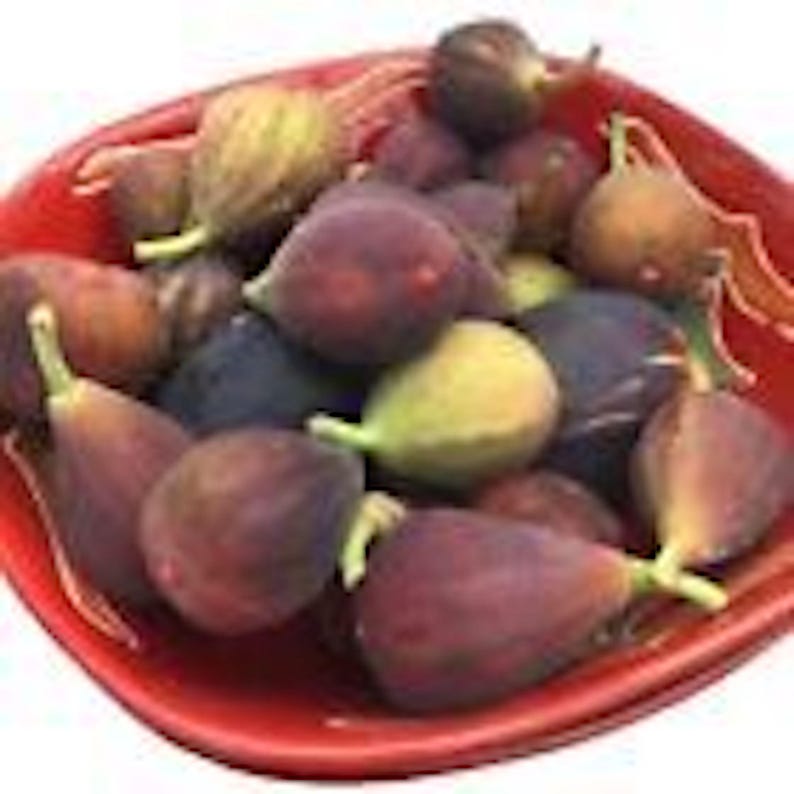May include: A red bowl filled with fresh figs. The figs are a mix of purple, green, and brown.