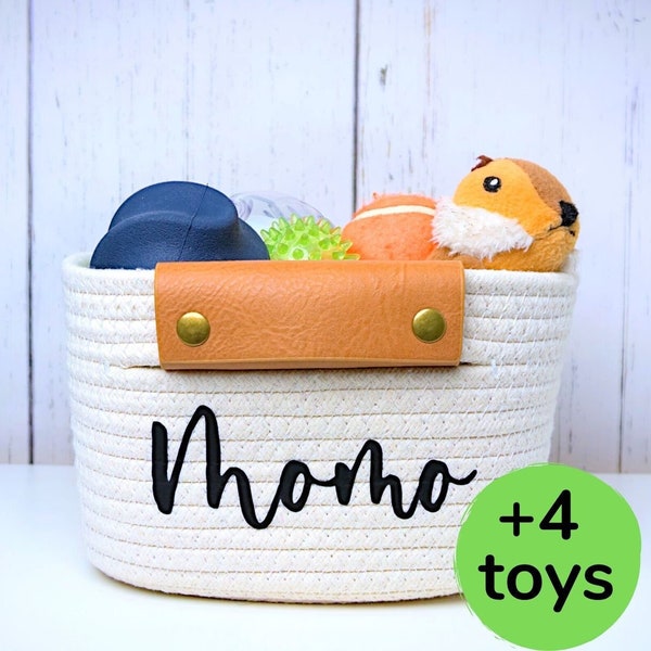 Dog Gift Box 60+ Gift Ideas for 2024