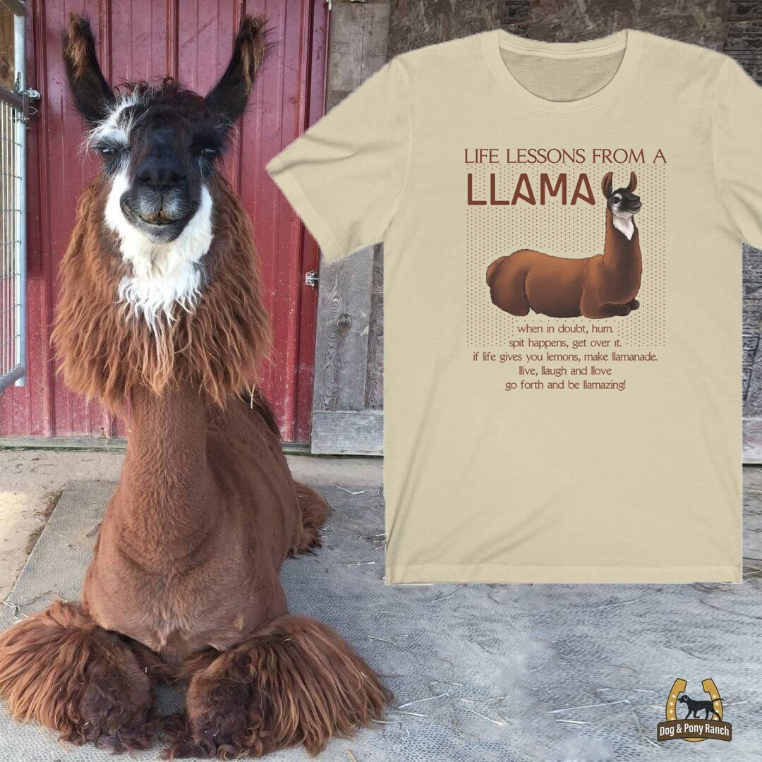 Llama T-Shirt, Animal Humor Snitches Llama T-Shirt, Animal Humor Snitches