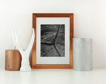 Connections - Black and White Art Photograph - Composition Study