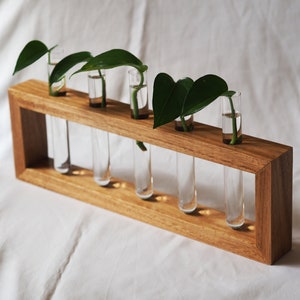 May include: A rectangular wooden frame holding five clear glass test tubes arranged in a row. Each test tube contains water and a green plant cutting with heart-shaped leaves. The wood has a natural brown grain and a smooth finish.