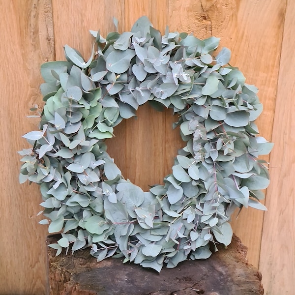 Eucalyptus wreath hand-tied / fresh door wreath / dries wonderfully / table wreath / wall wreath / Advent wreath / eucalyptus wreath