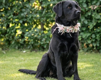 Hundehalsband aus Trockenblüten / Blumenhalsband für Hunde / Accessoires für Hundehochzeit / Blumen für Kragen / Brautschmuck für den Hund