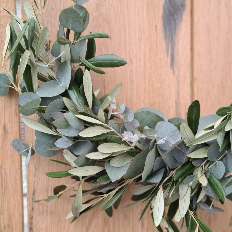 Türkranz aus frischem Grün / Eukalyptus Oliven Hoop / Natürlicher Türschmuck / Wandschmuck / Schmuck Kirche / Türkranz Haustüre Bild 5