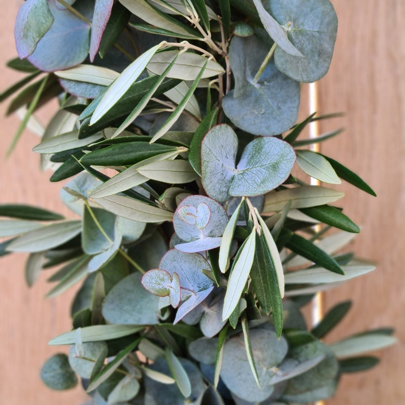 frische Tischgirlande, Brautgirlande, Autoschmuck Girlande grün, Autogirlande, Blumenschmuck für Tisch Eukalyptus und Olive, gebundene Hochzeitgirlande, Girlande Traubogen, frisch gebundene Girlande, Tischgesteck Hochzeit, Girlande freie Trauung