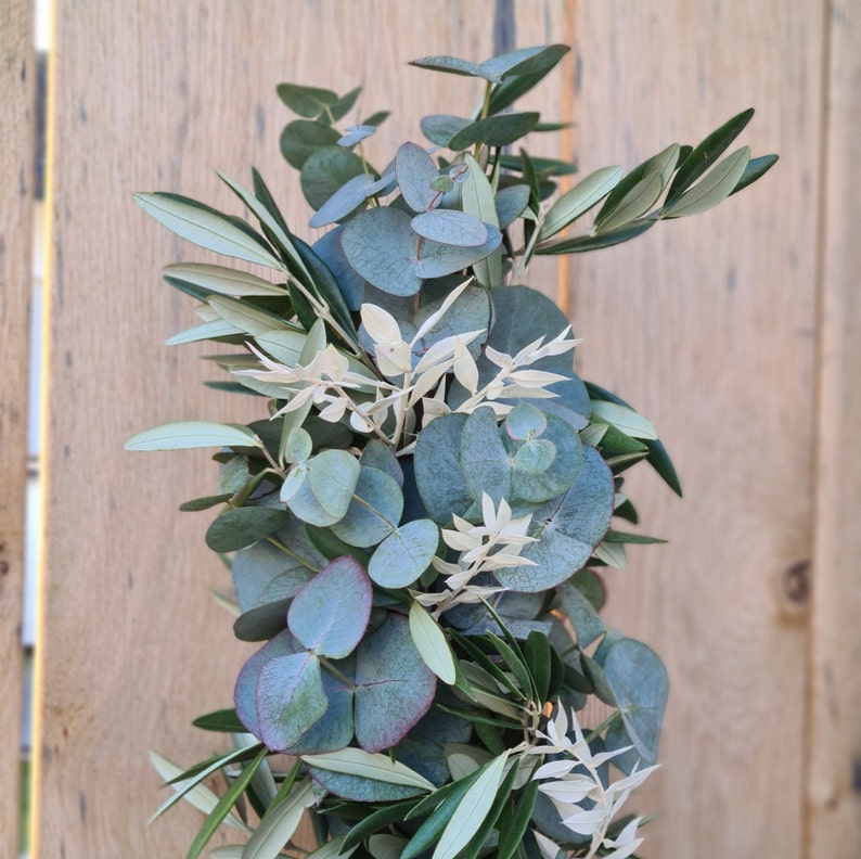frische Tischgirlande, Brautgirlande, Autoschmuck Girlande grün, Autogirlande, Blumenschmuck für Tisch Eukalyptus und Olive, gebundene Hochzeitgirlande, Girlande Traubogen, frisch gebundene Girlande, Tischgesteck Hochzeit, Girlande freie Trauung