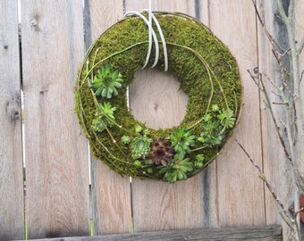 sommerlicher Türkranz aus Moos / haltbarer Türschmuck mit Hauswurz / Sempervivumkranz / Wandkranz / Kranz Herbst / Mooskranz/Windlicht Kranz