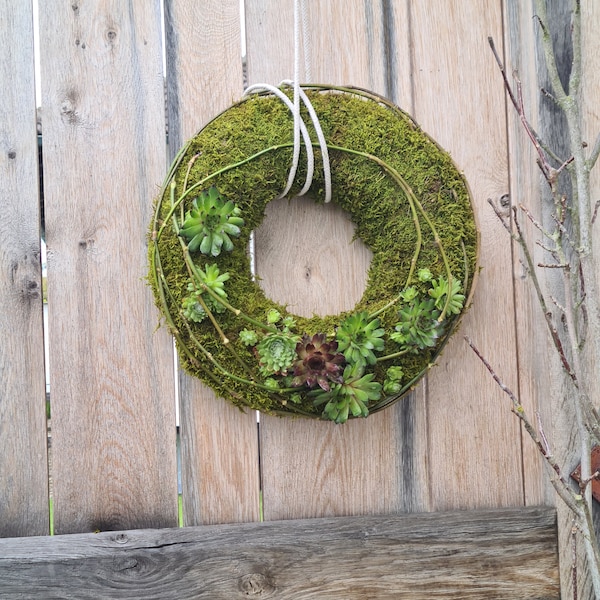 summery door wreath made of moss / durable door decoration with houseleek / sempervivum wreath / wall wreath / autumn wreath / moss wreath / lantern wreath