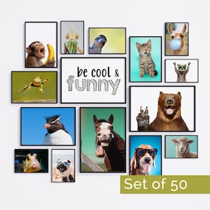 Silly Animals Wall Posters • Boy Room Decor Art Print Bundle