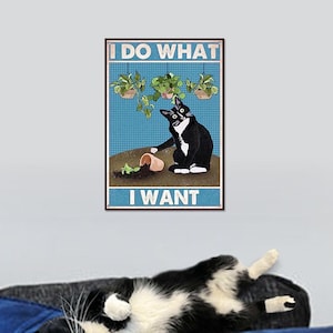 May include: A framed poster with the text "I DO WHAT I WANT" and an illustration of a black and white cat knocking over a plant pot. A black and white cat is lying on a blue surface.