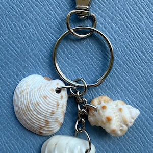 Handmade Seashell Keychain - Beach Keyring - Seashell Key Rings - Bag Tag - Real Seashell Keychain - Sea Lovers Gift - Ocean Keyring