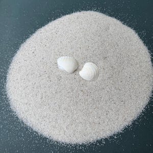 Authentic Natural Ocean White Sand  - Ideal for DIY Crafts & Resin Projects - Quartz Crystal Sand - 1 lb 7.8oz.