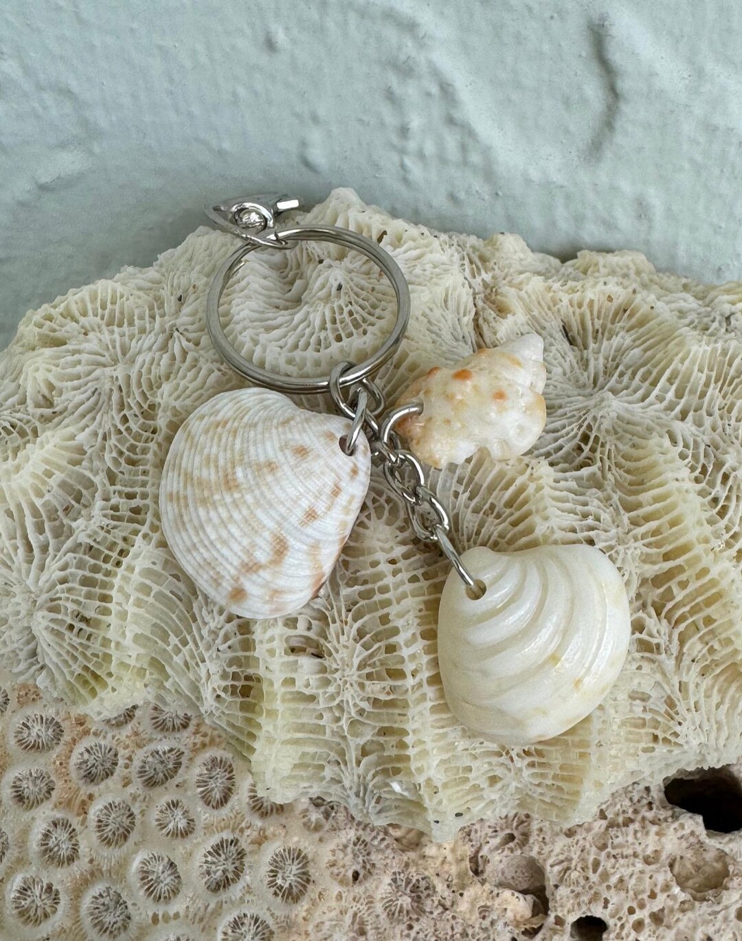 Sea Shells Seashell Keychain Diy Buy Handmade Seashell Keychain