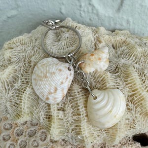 Handmade Seashell Keychain - Beach Keyring - Seashell Key Rings - Bag Tag - Real Seashell Keychain - Sea Lovers Gift - Ocean Keyring