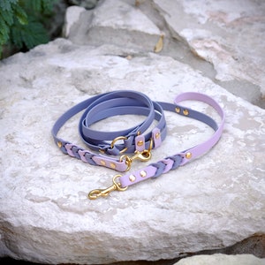 The Adventure Leash (Braided) | Hands Free, Eurolead, Biothane, Adjustable, Convertible, Cross-Body, Waterproof, Vegan, Customizable