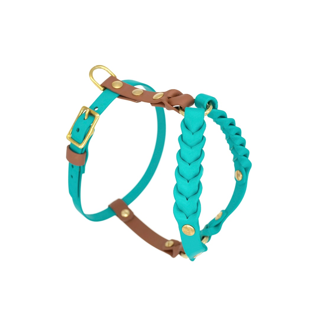 The Braided Harness | Biothane, Solid Brass, Waterproof, Vegan ...