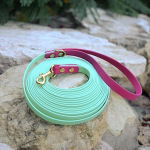 Op de afbeelding: Een opgerolde, mintgroene hondenriem met een fuchsia handvat en accenten. De riem heeft een goudkleurige sluiting en klinknagels. Het handvat en de sluiting zijn bevestigd met roze leer. De riem ligt op een rots.