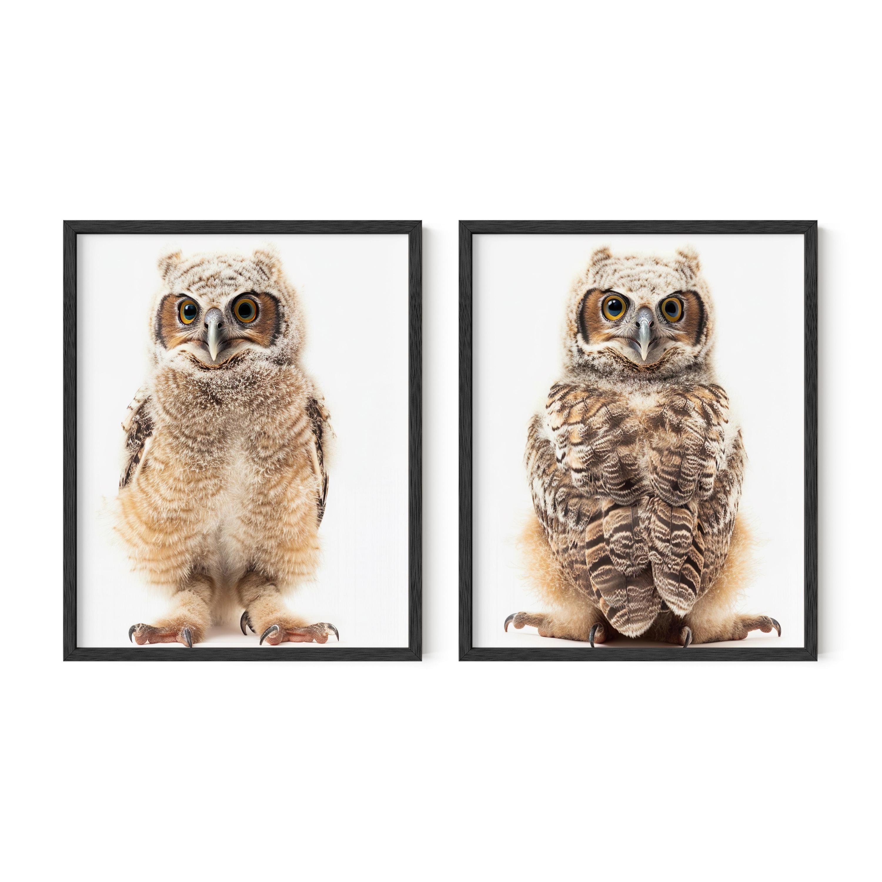 Baby Owl Wall Art, Nursery Wall Art, Baby Animal Prints, Nursery Wall Decor, Kids Wall Art, Kids Wal