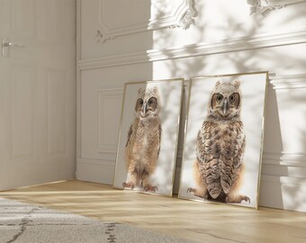 Muurdecoratie met babyuiltjes, kinderkamerdecoratie, schattige baby dierenprints, kinderkamerdecoratie, bosdieren kinderkamerdecoratie, digitale downloadbare printbare kunst