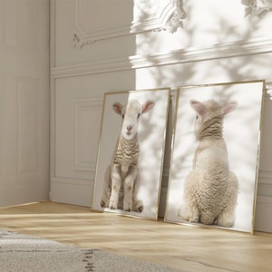 Baby Lamb Nursery Baby Animal Wall Art, Set of 2, DIGITAL DOWNLOAD, Nursery Baby Animal Prints, Lamb Nursery Decor, Kids Wall Art