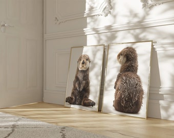 Baby Sea Otter Wall Art Set of 2, Nursery Wall Art, Cute Baby Animal Prints, Ocean Nursery Decor, Kids Wall Decor, Digital Download