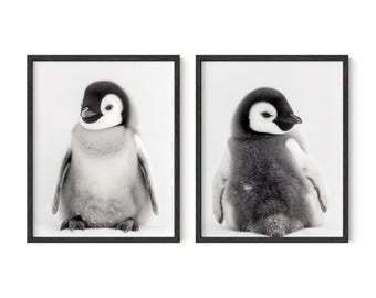 Baby Penguin Wall Art, Set of 2, Nursery Wall Art, Baby Animal Prints, Nursery Wall Decor, Kids Wall Art, Kids Wall Decor, Digital Download