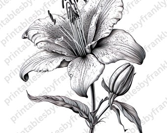 Hand-drawn Lily Sketch Clipart - Beautiful Flower Clipart for Crafts, JPG, Cut File for Circuit and Silhouette, dpi 300