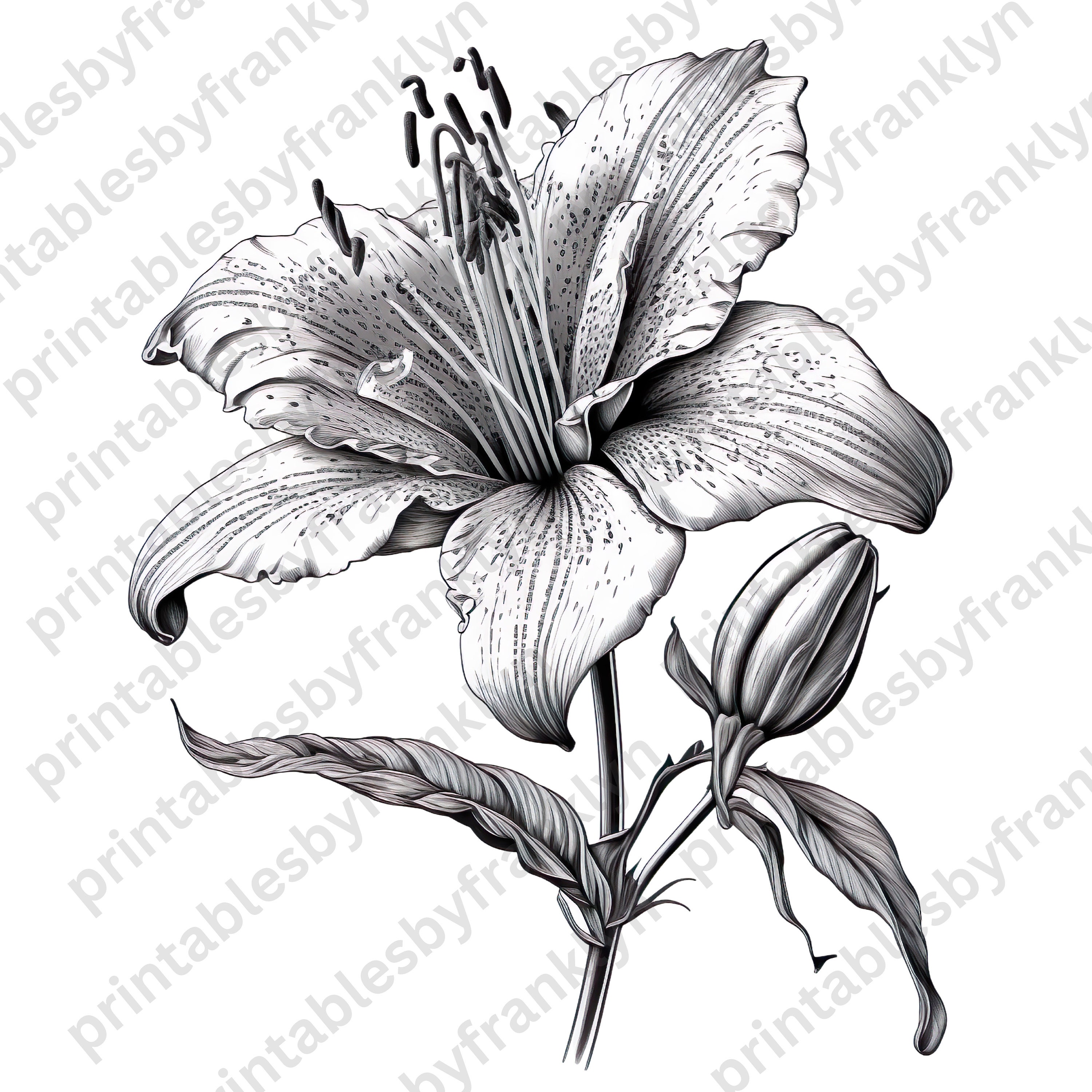 Gilded Monochrome Lily Illustration Tutorial