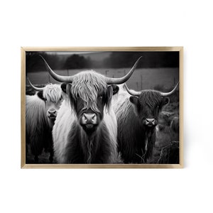 Highland Cow Black and White Wall Art, Printable Cow Wall Art, Country & Farmhouse Art, Cow Art, Landscape Cow Wall Art, Instant Download