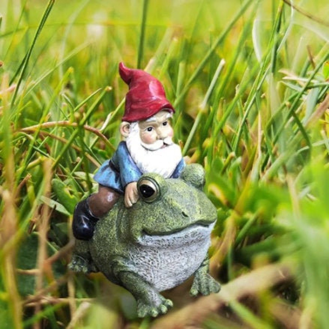 Gnome Sitting On Frog Statue Resin Garden Figurines For Etsy