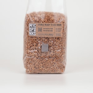 May include: A clear plastic bag filled with brown grain. The bag has a brown label with the text "MYC DPU NKS" and a QR code. The label also says "Sterile Ready to Use Grain" and "Scan or with phone for instructions".