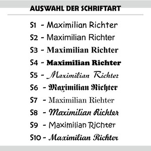 May include: A selection of different font styles for the name "Maximilian Richter". The fonts range from simple to ornate.