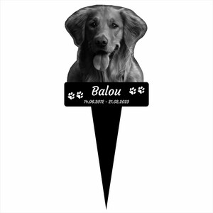 Könnte beinhalten: Schwarzweißfoto eines Golden Retriever Hundes mit einer schwarzen Plakette, auf der "Balou 14.06.2012 - 21.02.2023" mit Pfotenabdrücken auf beiden Seiten des Namens steht.