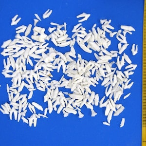 10 grams of marten teeth. Real teeth for decorating and crafting. Animal teeth for jewelry making, etc.