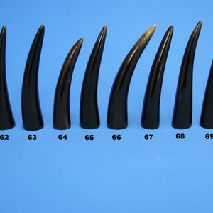 Könnte beinhalten: Zehn schwarze Hornspitzen, von 61 bis 70 nummeriert, in einer Reihe vom kleinsten zum größten auf einem blauen Hintergrund angeordnet.