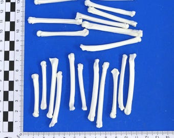 Pack of 20 metatarsal bones, mostly fox. Real bones for decoration, including animal bones for crafting.