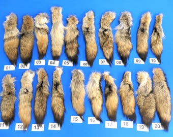 Coyote tail. Dense winter fur. Tail for decoration, as crafting fur, direct selection! WYSIWYG