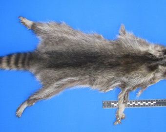 Raccoon fur. Real fur for decoration, crafting, etc. Animal fur as craft fur, W-4, WYSIWYG