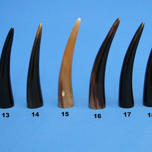 Könnte beinhalten: Zehn Hornspitzen, einige schwarz, einige braun, einige mit einem gefleckten Muster, in einer Reihe von links nach rechts angeordnet und von 11 bis 20 nummeriert.