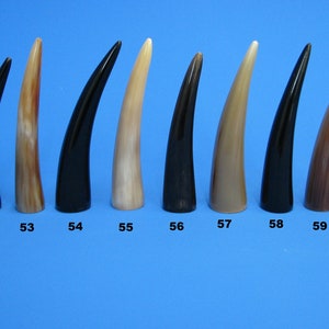 Könnte beinhalten: Zehn Hornspitzen, nummeriert von 51 bis 60, sind in einer Reihe auf einem blauen Hintergrund angeordnet. Die Spitzen sind in verschiedenen Brauntönen und Schwarz.