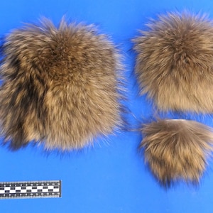 Prawdziwe futro tanuki, kawałki futra jenota japońskiego lub tanuki. Kawałek futra do dekoracji, jako futro rzemieślnicze lub futro dotykowe. Futro numer 26