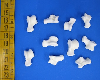 Może przedstawiać: Dziesięć białych plastikowych modeli anatomicznych kręgów, przypominających ludzkie kości, ułożonych na niebieskiej powierzchni.