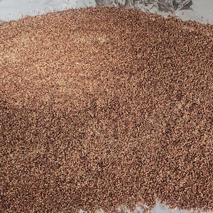 May include: A large pile of small, reddish-brown grains, possibly seeds or a similar food product, is spread out on a sheet of aluminum foil. The grains are densely packed, creating a textured surface. The lighting suggests a natural setting.
