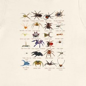 Stupendous Spiders T-shirt with 24 unique spiders