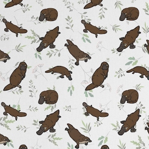 Platypus Paradise Outdoor Pillows