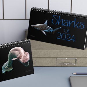 Sharks of 2024 Desk Calendar