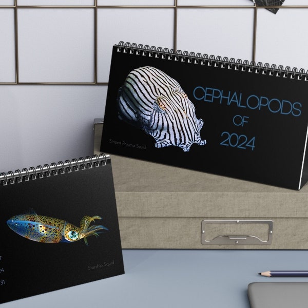 Cephalopods of 2024 Desk Calendar